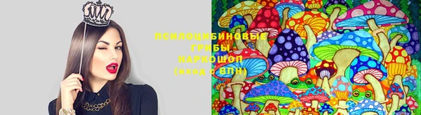 СК Майский