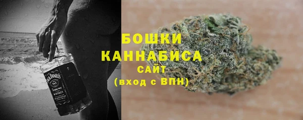 ПСИЛОЦИБИНОВЫЕ ГРИБЫ Медногорск