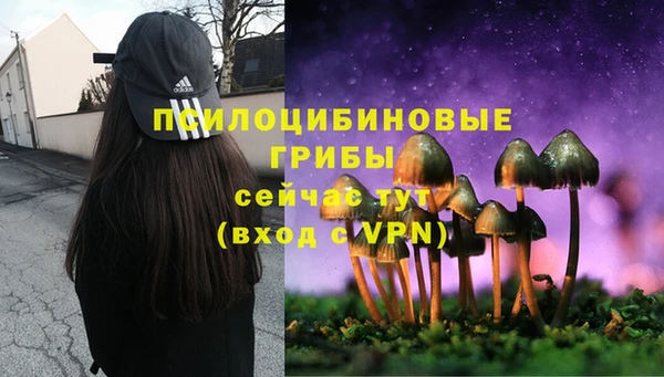 МДМА Медвежьегорск