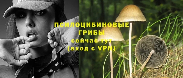 МДМА Медвежьегорск